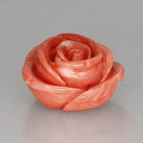 Coral Salmón natural de 21.52 ct, Forma elegante, Opaco