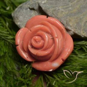 Coral Rosado salmón intenso natural de 18.78 ct, Elegante, Opaco