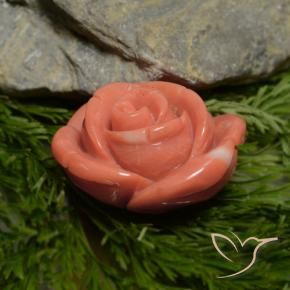 Coral Rosado salmón intenso natural de 18.78 ct, Elegante, Opaco