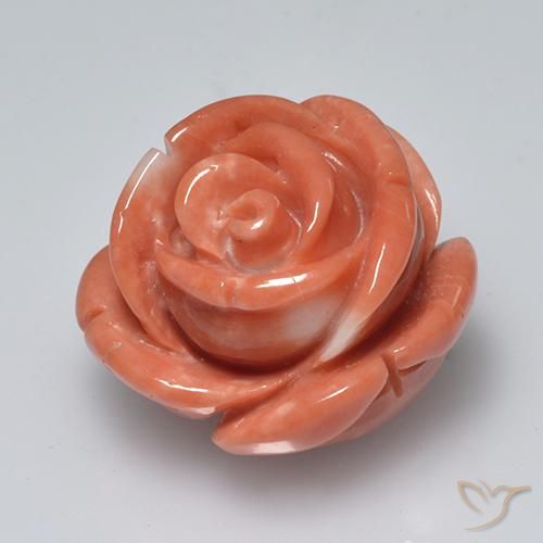 Coral Rosado medio natural de 19.58 ct, Corte Flor, Opaco