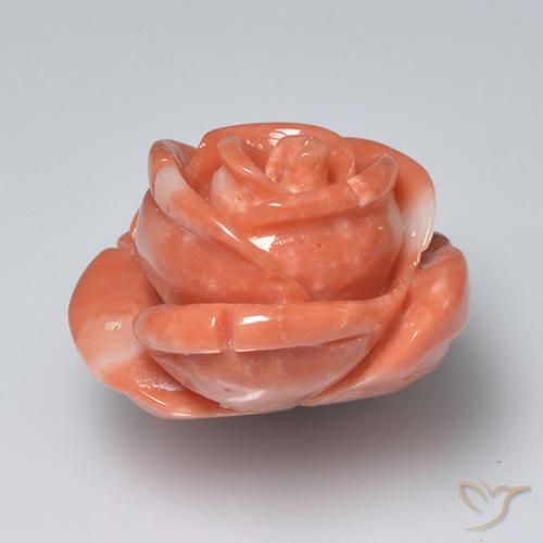 Coral Rosado medio natural de 19.58 ct, Corte Flor, Opaco