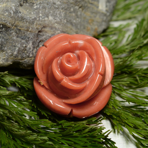 Coral Rosado medio natural de 18.58 ct, Forma elegante, Opaco