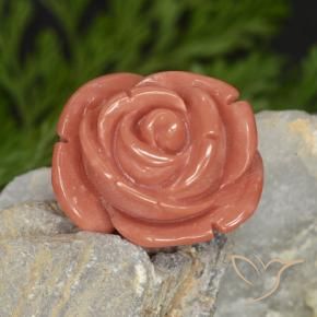 Coral Salmon Pink   natural de 14.58 ct, Elegante, Opaco