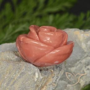Coral Salmon Pink   natural de 14.58 ct, Elegante, Opaco