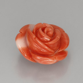 Coral Salmón natural de 10.33 ct, Forma elegante, Opaco
