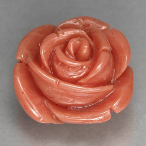 Coral rosa natural de 10,23 ct, forma elegante, opaco
