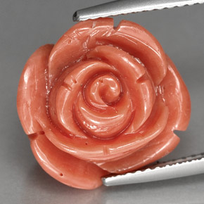 Coral rosa natural de 10,23 ct, forma elegante, opaco