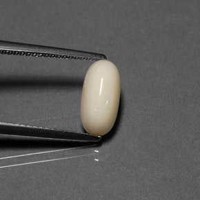 Coral crema natural de 2,21 ct, corte óvalo, opaco