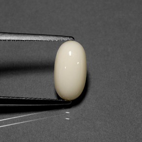 Coral Blanco natural de 2.23 ct, Corte Óvalo, Opaco