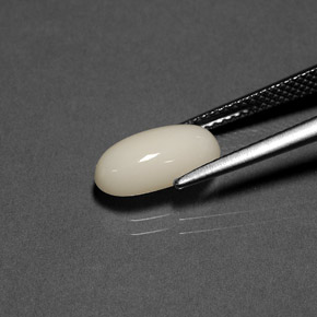 Coral Blanco natural de 2.23 ct, Corte Óvalo, Opaco