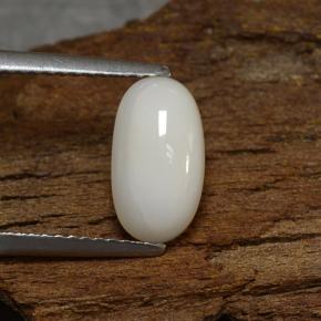 Coral Blanco grisáceo claro natural de 2.27 ct, Corte Óvalo, Opaco
