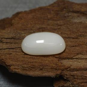 Coral Blanco grisáceo claro natural de 2.27 ct, Corte Óvalo, Opaco