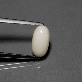 Coral blanco natural de 1,84 ct, corte óvalo, opaco