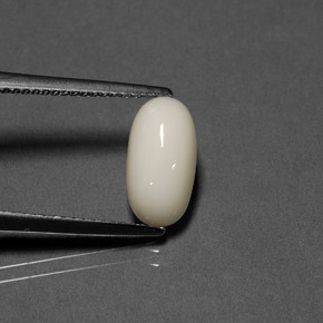 Coral blanco natural de 2,02 ct, corte óvalo, opaco