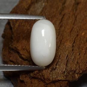 Coral blanco natural de 2,39 ct, corte óvalo, opaco