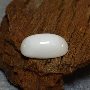 Coral blanco natural de 2,39 ct, corte óvalo, opaco
