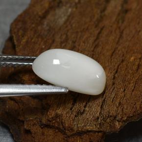 Coral blanco natural de 2,39 ct, corte óvalo, opaco