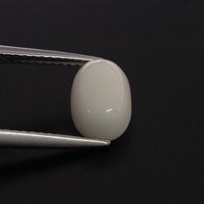 Coral Blanco natural de 2.00 ct, Corte Óvalo, Opaco