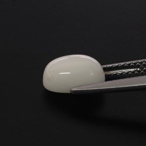 Coral Blanco natural de 2.00 ct, Corte Óvalo, Opaco