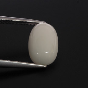 Coral blanco natural de 2,37 ct, corte óvalo, opaco