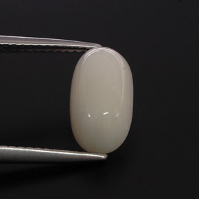 Coral blanco natural de 2,85 ct, corte óvalo, opaco
