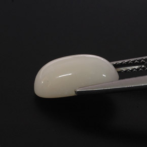 Coral blanco natural de 2,85 ct, corte óvalo, opaco