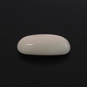Coral blanco natural de 2,28 ct, corte óvalo, opaco