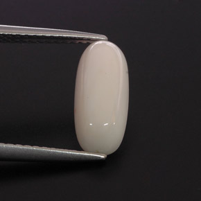 Coral blanco natural de 2,28 ct, corte óvalo, opaco