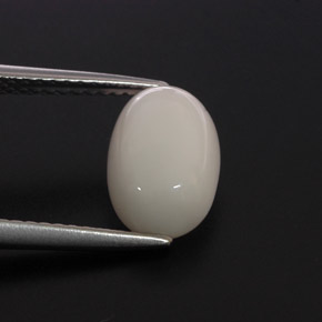 Coral blanco natural de 2,68 ct, corte óvalo, opaco