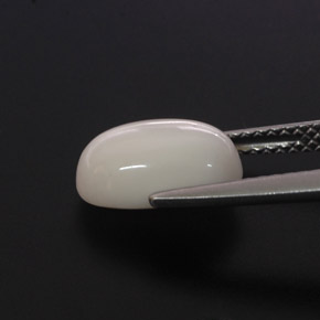 Coral blanco natural de 2,68 ct, corte óvalo, opaco