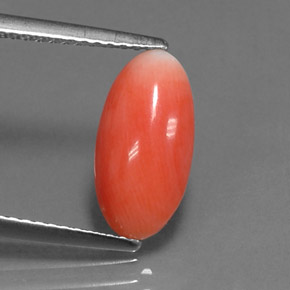 Coral Salmón natural de 1.69 ct, Corte Óvalo, Opaco