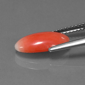 Coral Salmón natural de 1.69 ct, Corte Óvalo, Opaco