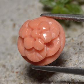 Coral rosa natural de 4,01 ct, corte flor, opaco