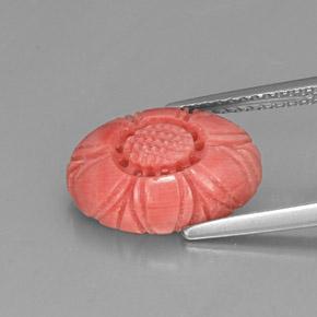 Coral rosa natural de 3,52 ct, forma elegante, opaco