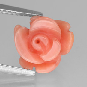 Coral rosa natural de 2,94 ct, forma elegante, opaco