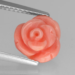 Coral rosa natural de 2,84 ct, forma elegante, opaco
