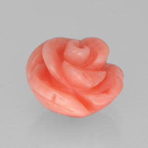 Coral rosa natural de 2,84 ct, forma elegante, opaco