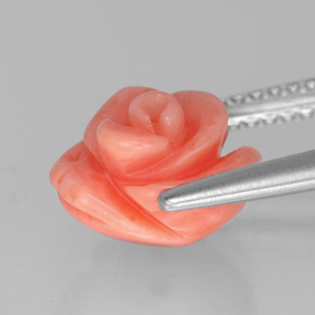 Coral rosa natural de 2,84 ct, forma elegante, opaco