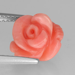 Coral rosa natural de 3,61 ct, forma elegante, opaco