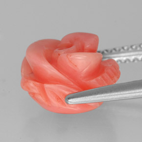 Coral rosa natural de 3,61 ct, forma elegante, opaco
