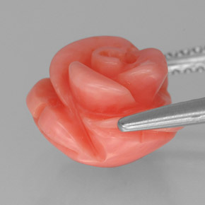 Coral rosa natural de 4,44 ct, forma elegante, opaco