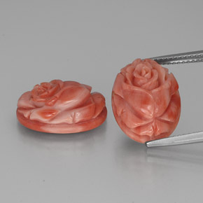 Gemas de coral rosa natural de  ct, forma elegante, opaco