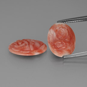 Gemas de coral bicolor natural de 5,09 ct, forma elegante, opaco