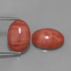 Gemas de coral rosa natural de  ct, corte óvalo, opaco