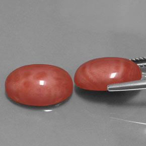 Gemas de coral rosa natural de  ct, corte óvalo, opaco