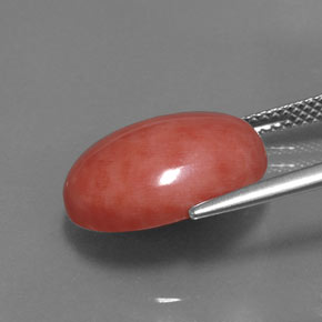 Coral rosa natural de 7,54 ct, corte óvalo, opaco