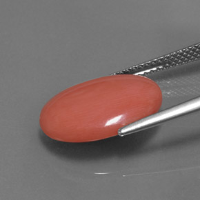 Coral rosa natural de 4,97 ct, corte óvalo, opaco