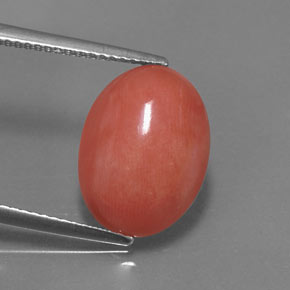 Coral rosa natural de 5,26 ct, corte óvalo, opaco