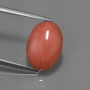 Coral rosa natural de 4,05 ct, corte óvalo, opaco