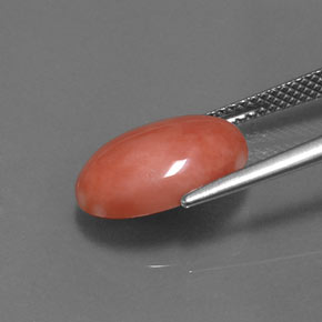 Coral rosa natural de 4,05 ct, corte óvalo, opaco